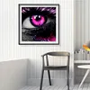 uk.everydayedeals (Limited Stock)Paint By Number - Oil Painting -  Eye (40*40Cm)