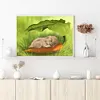 uk.everydayedeals (Limited Stock)Diamond Painting - Full Square - Sleeping Rabbit(40*50cm)