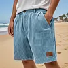 Corduroy Men's Shorts Light Blue Relaxed Fit Summer Casual Pants with Pockets and Leather Patch by Inlyline