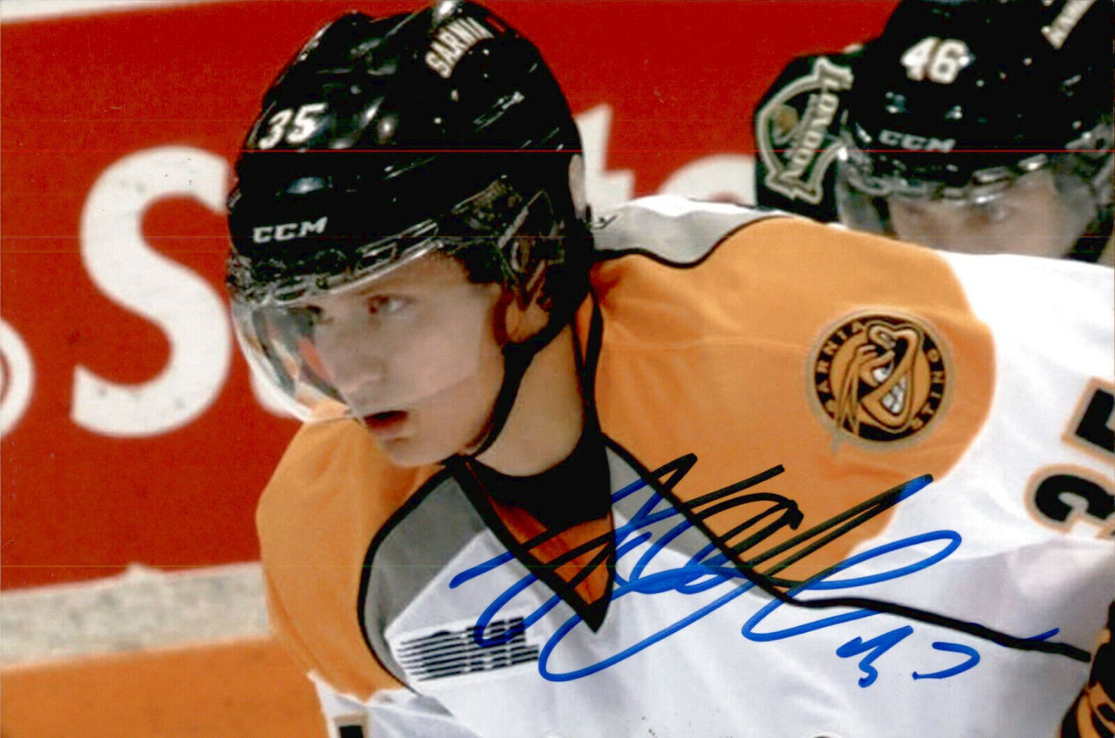 Nikita Korostelev SIGNED 4x6 Photo Poster painting SARNIA STING / TORONTO MAPLE LEAFS