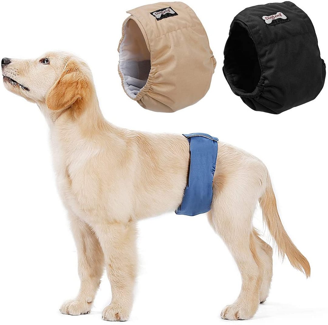 Washable Anti-Harassment Underwear Dog Diapers