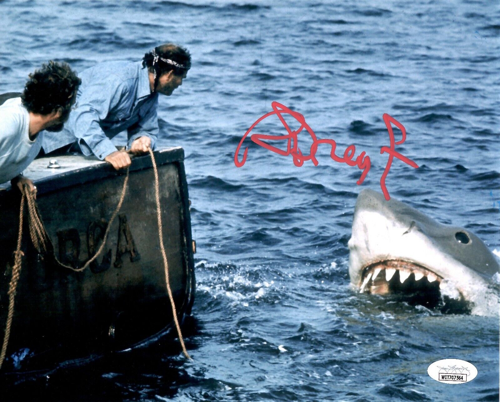 Richard Dreyfuss autographed signed 8x10 Photo Poster painting Jaws JSA Witness Hooper