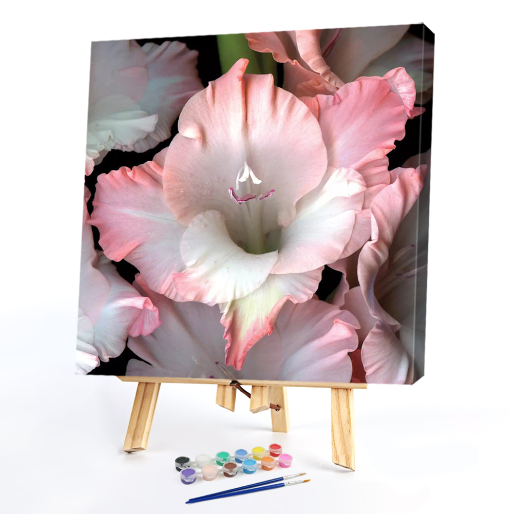 

20*20CM - Paint By Numbers - Iris, 501 Original