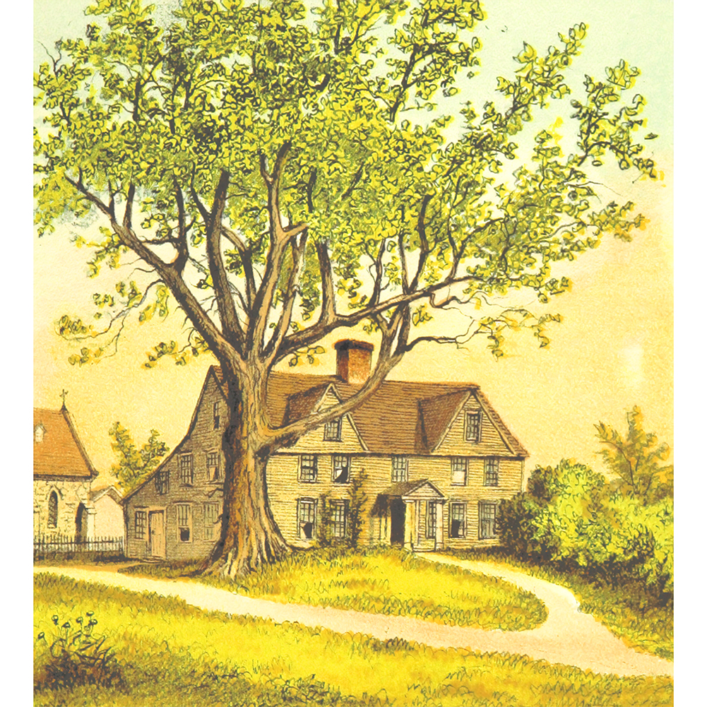 

Country Road House - 1000 Pieces Jigsaw Puzzle, 501 Original