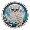 DIY Pearl Painting Art Kit,Round Dust-proof Outer Frame with Tassel Hanging Kit