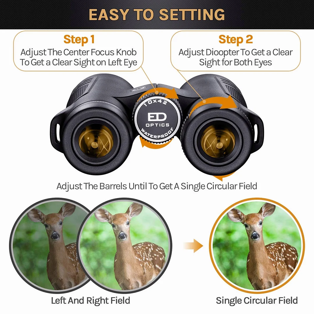 10x42 ED Low Dispersion Binoculars for Adults with FMC BAK4 Roof Prism Waterproof Fogproof Binocular for Bird Watching, Hiking, Hunting, Concerts,Opera,Sports- with Phone Mount