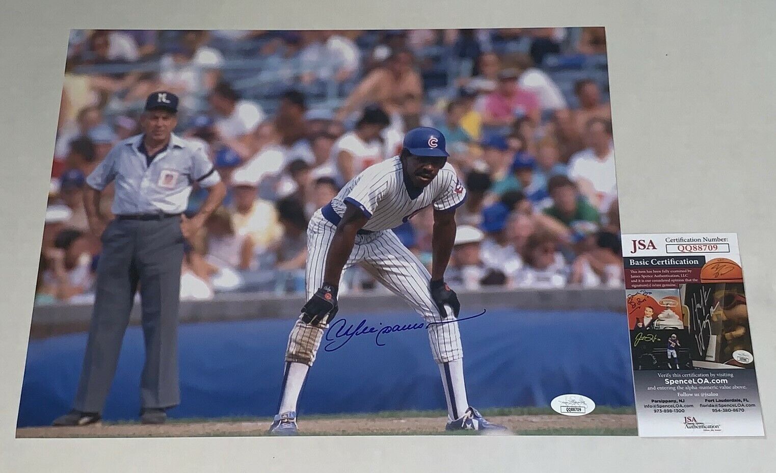 Andre Dawson signed Chicago Cubs 11x14 Photo Poster painting autographed HOF JSA