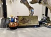 Jurassic World Dinosaur Fossils: Tyrannosaurus Rex - Building Set for Adults, Ages 18+ - Gift for Birthdays - Home Decor for Bedroom, Office, or Any Room - Collectible DIY Kit - 76968