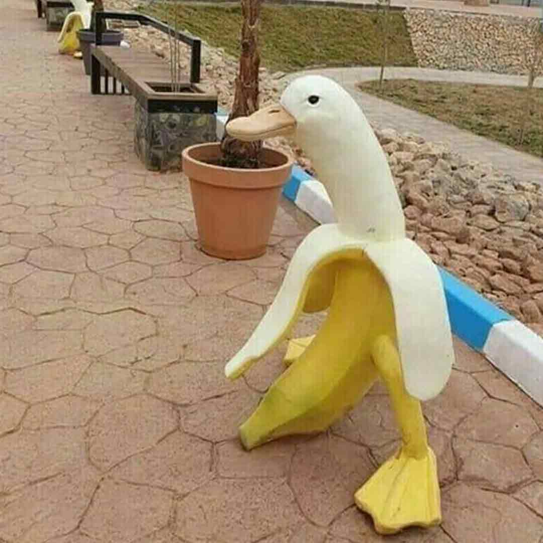 Banana Duck Garden Decoration | 168DEAL