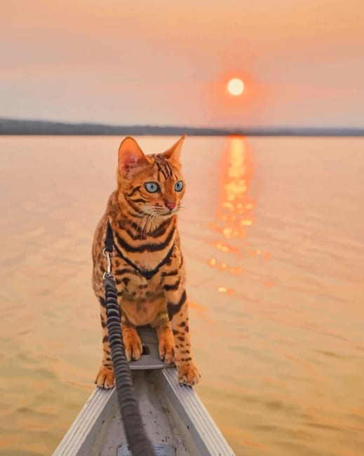 

Bengal Cat In A Magical Sunrise – Paint By Numbers - 40*50CM, 501 Original