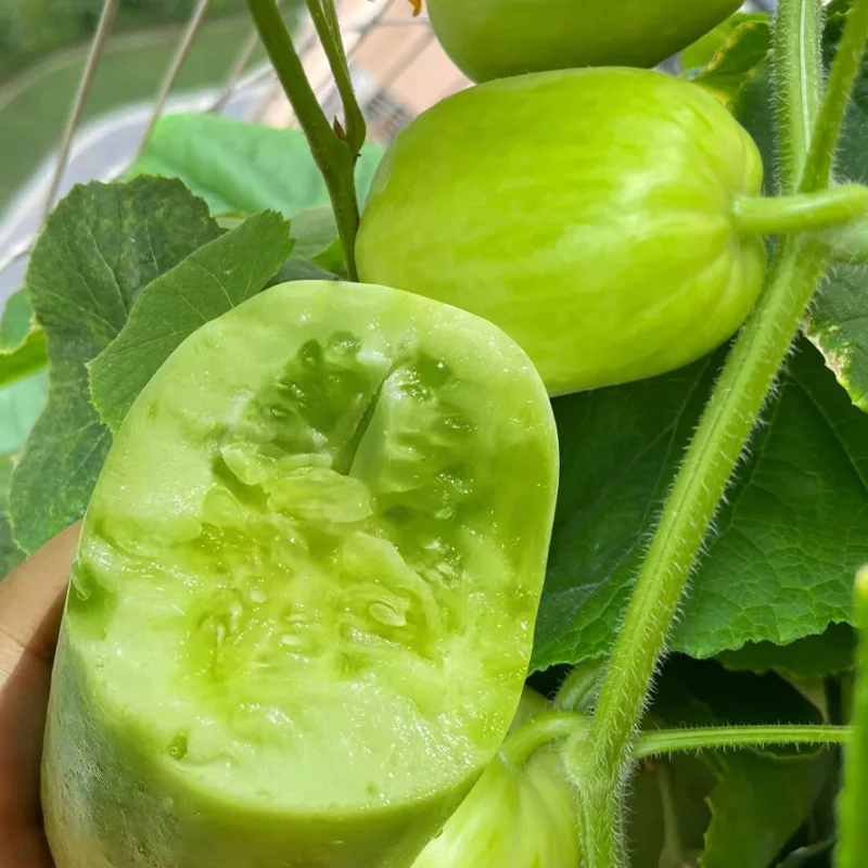 Fruity vitamin C cucumber - Julienne cucumber