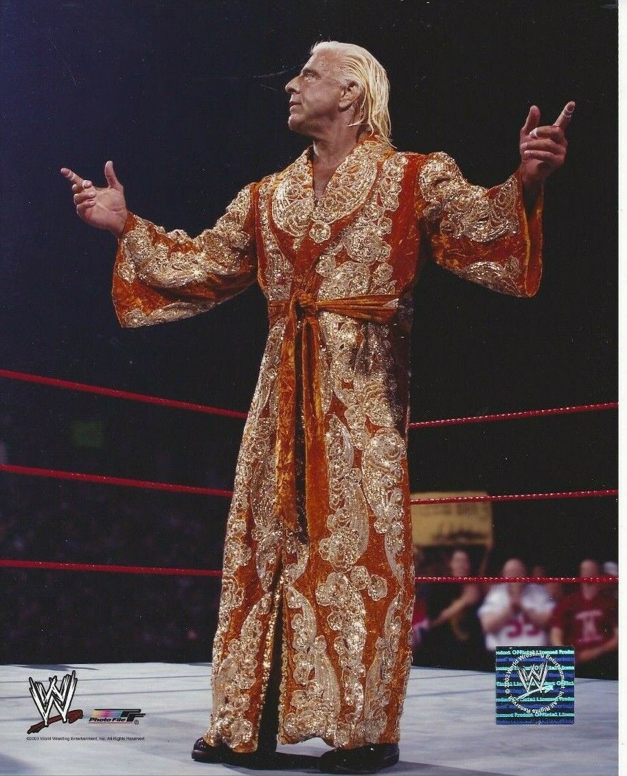 Ric Flair Original Photo Poster paintingfile 8x10 WWF WWE TNA WCW Nature Rare C584