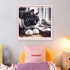 Cat Bird-Partial 11CT Stamped Cross Stitch Bead Embroidery 36*36cm/14.17*14.17in