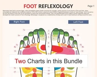pornhint Pornhint Foot Reflexology Chart, digital download PDF