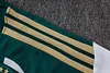Joyfball 2026/2027 Italy Short sleeve green training Jersey+Shorts