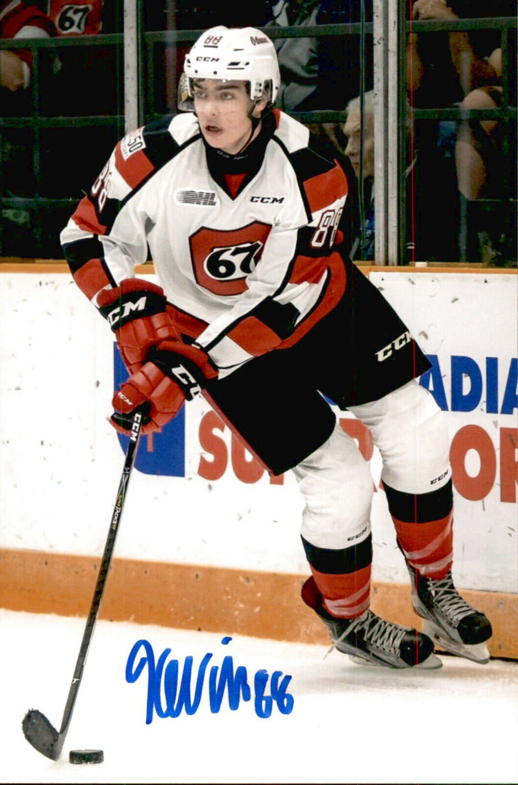 Kevin Bahl SIGNED 4x6 Photo Poster painting OTTAWA 67'S / ARIZONA COYOTES #2