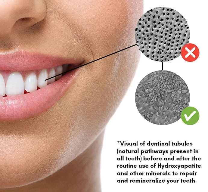 Teeth bush graphic.jpg