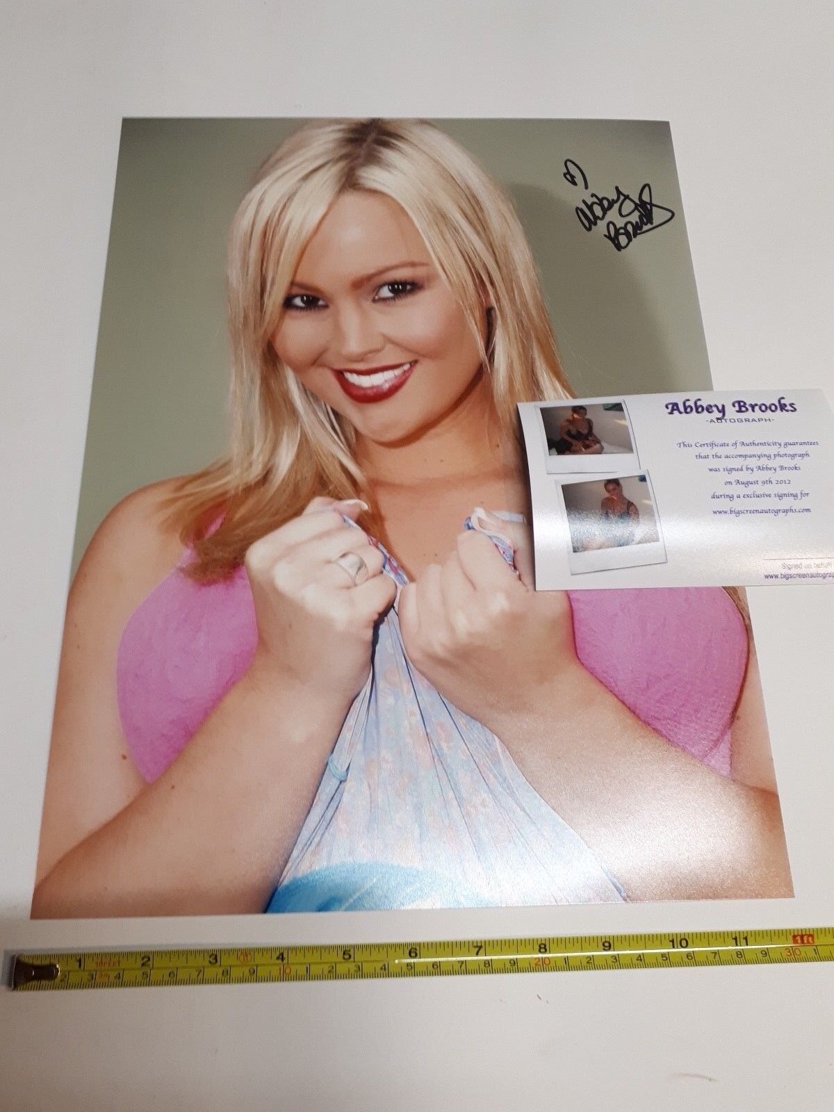 Abbey Brooks Adult film star Porn actress signed autograph Photo Poster painting COA LARGE G