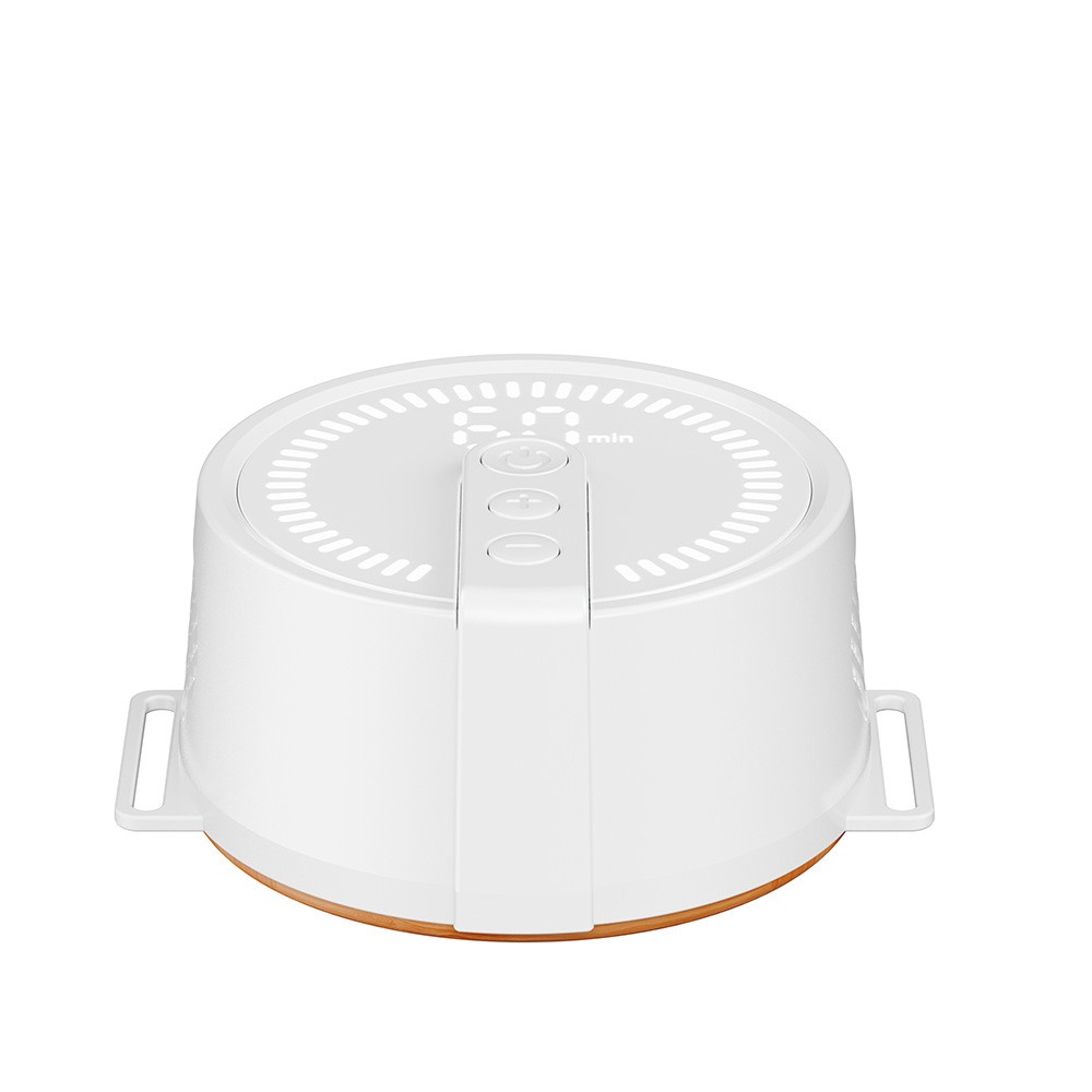 无烟家用艾灸盒 智能温灸养生便携随身灸腰部颈椎艾灸熏蒸仪-Digicat 猫电澳洲