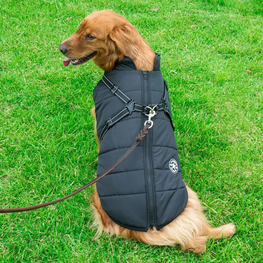 Pawbibi Sport- Waterproof Winter Jacket with Built-in Harness
