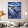 Owl - 14CT Counted Cross Stitch - 40*50cm