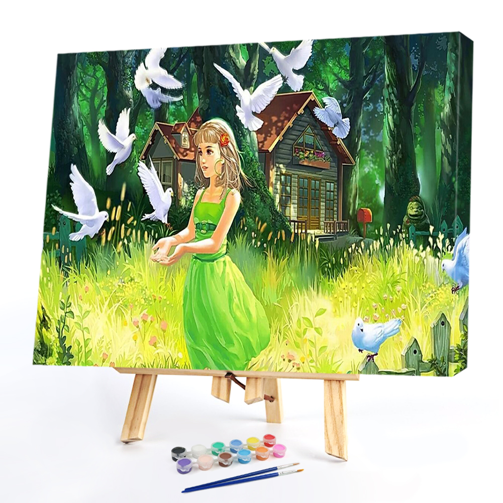 

40*50CM Paint By Numbers-Girl Pigeon, 501 Original