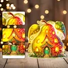 (US Local)Double Sided Special Shape Pear House Diamond Painting LED Light Ornaments