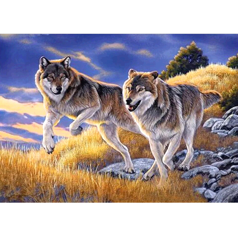 

30*40CM - Round Drill Diamond Painting - Wolf, 501 Original