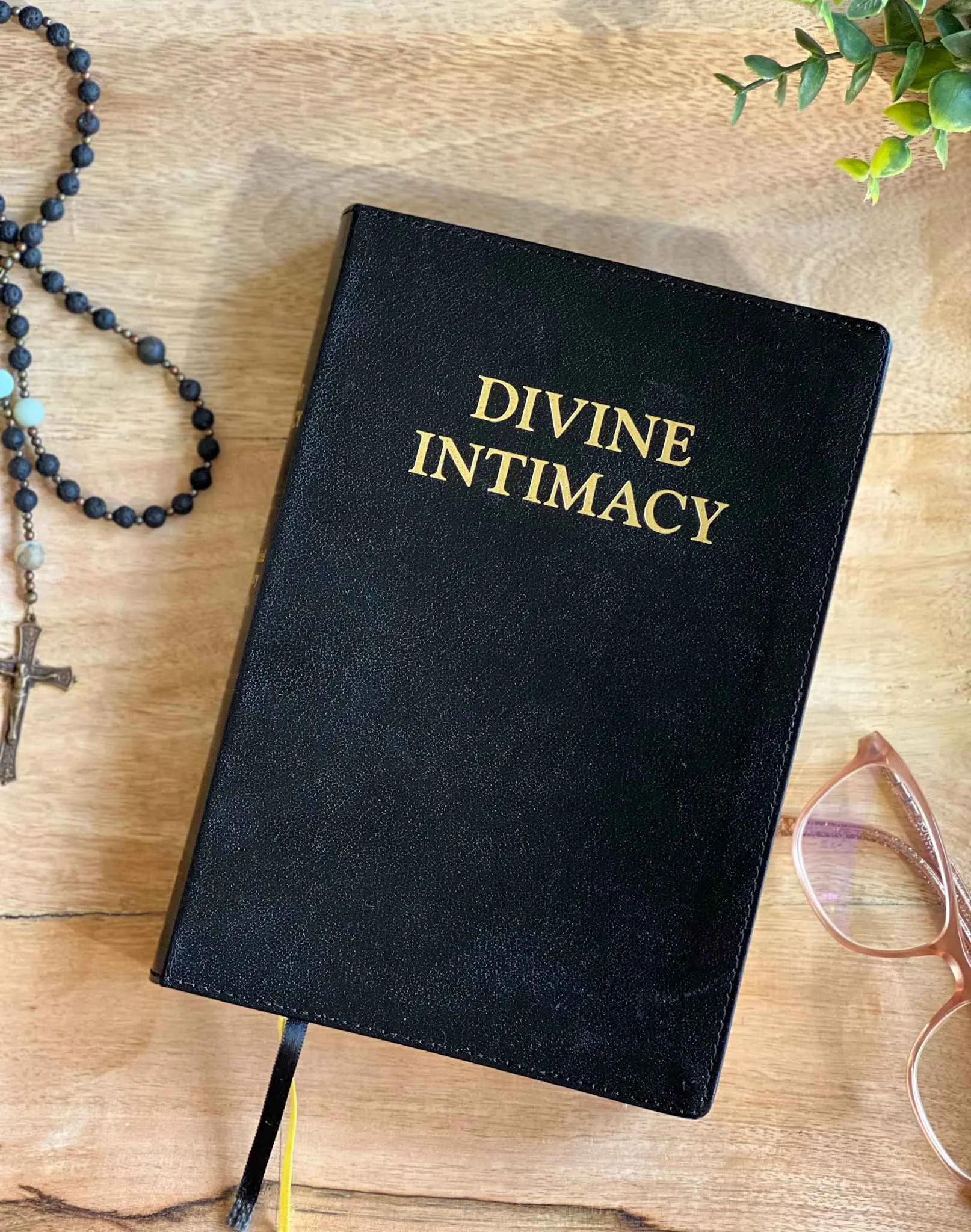 Divine Intimacy Devotional