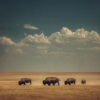 Bison on the Great Plains - Diamond Painting