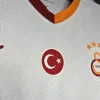 24/25 Galatasaray Soccer Jersey Away