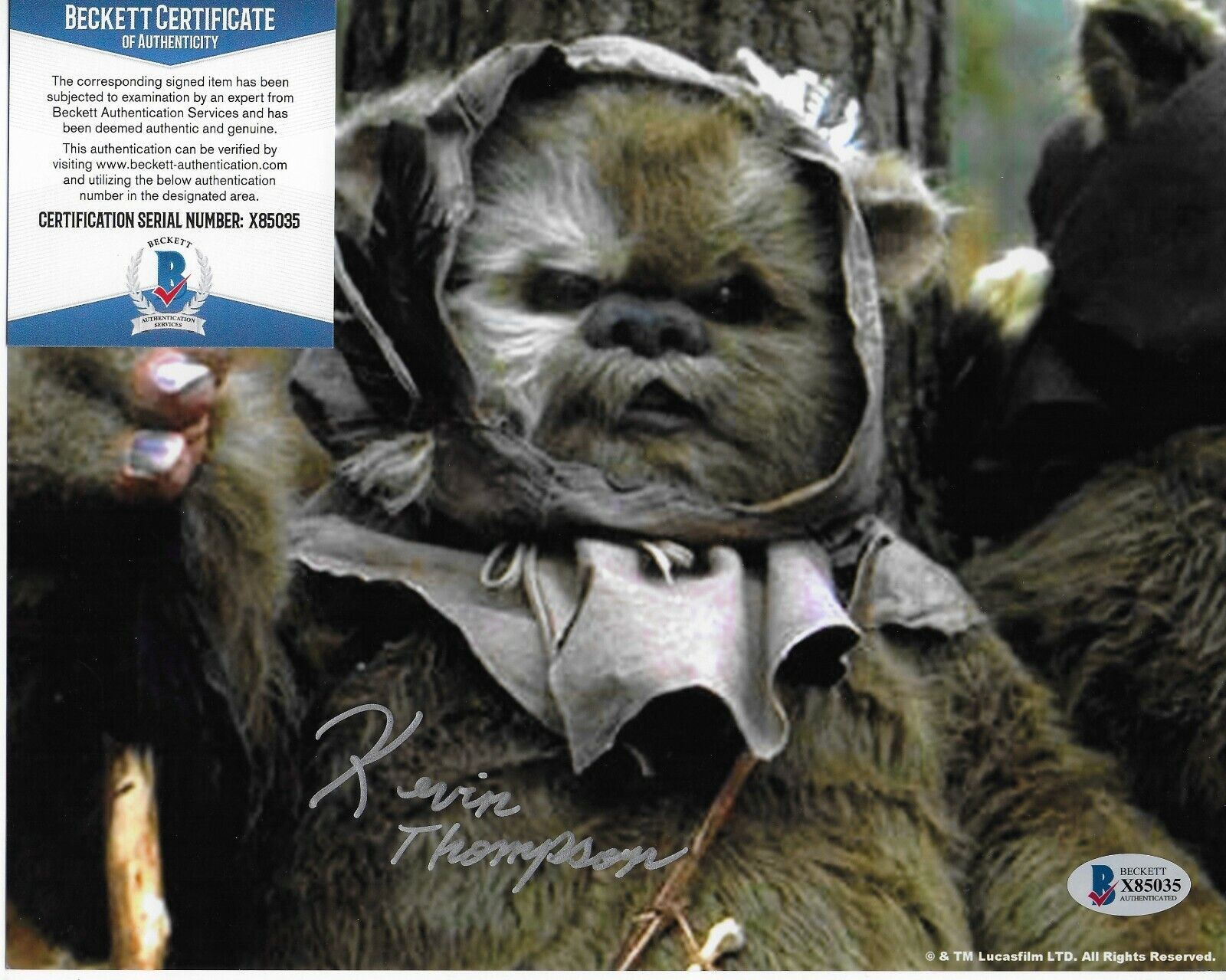 Kevin Thompson Star Wars Ewok Original Signed 8X10 Photo Poster painting w/Beckett COA