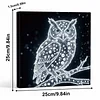 (25x25cm)DIY Glowing Owl Framed Handmade Pearl Painting Art Craft Kit Living Home Decor
