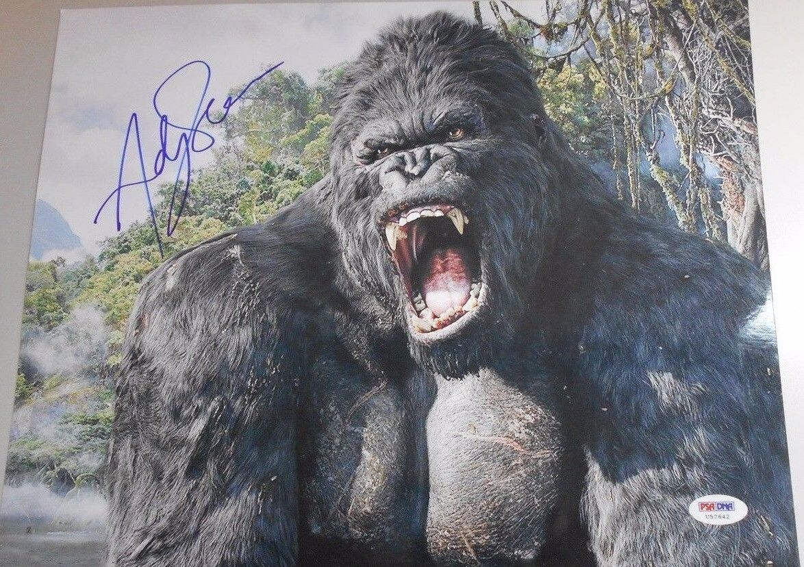 ADY SERKIS * PSA/DNA CERTIFIED * SIGNED 11 X 14 Photo Poster painting * KING KONG