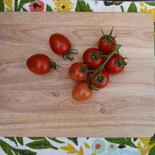 Tempting Tomatoes™ Tomato 'Garden Treasure' - Garden Crossings