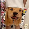 Funny Dog Shorts，Funny Men's Beach Pants Sweatpants