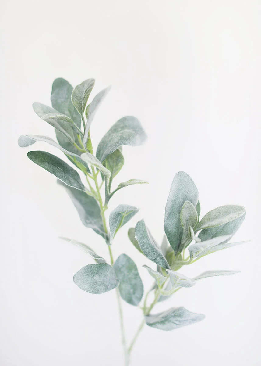 Flocked Lambs Ear Leaf - 28"