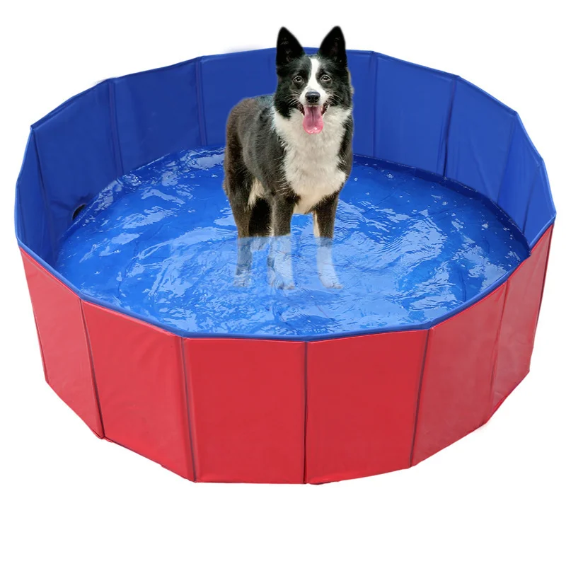 Pet Pool | Foldable Pet Fountain | Dog Playing Toys Swimming Pool | Reborn Shoppe - Reborn Shoppe
