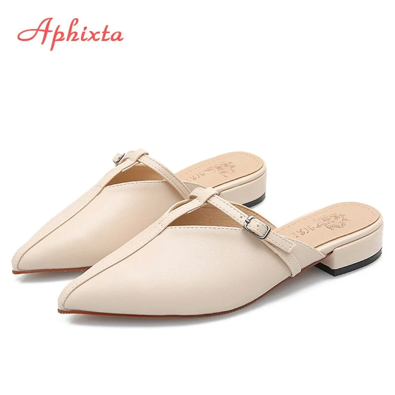 Aphixta Fashion Women Slides Pointed Toe Summer Shoes Square Heels Brown Beige Slipper Women Shoes Mules Outdoor Zapatos Mujer