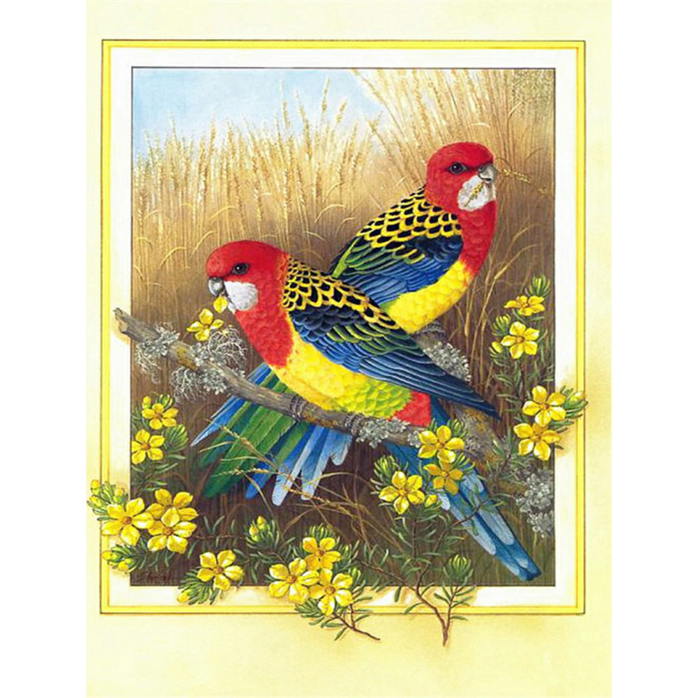 Bird Outside Flower Frame 30*40CM(Canvas) Special Shaped Drill Diamond Paiting gbfke