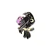 Elegant Night Crow
