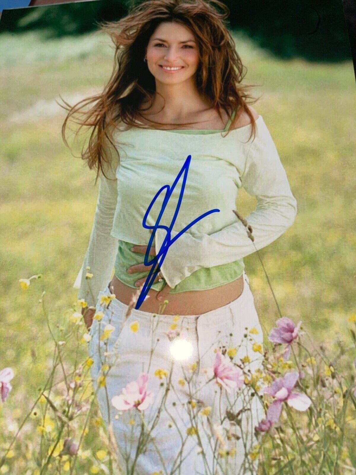 shania twain signed 8x10 Photo Poster painting pic hot