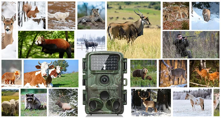 No.20/30リソグラフプリント HUNTING KAMERIAN カメリアン Hunt's Photo & Video Photography Retailer
