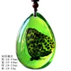 Insect Amber Pendant Natural Butterfly Specimen Insect Amber Necklace Children's Hanging Accessories