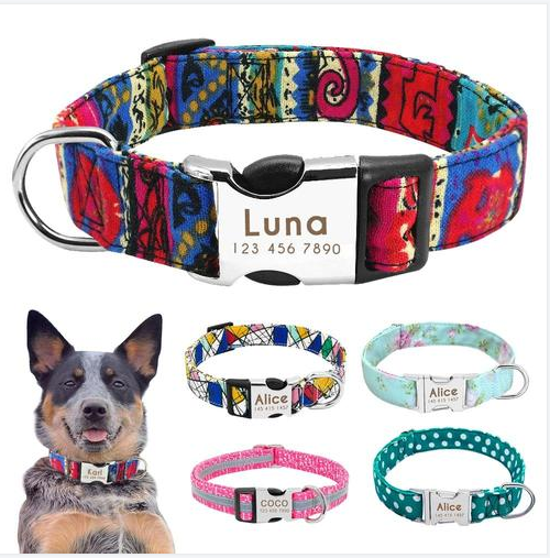Nylon Dog Collar Personalized