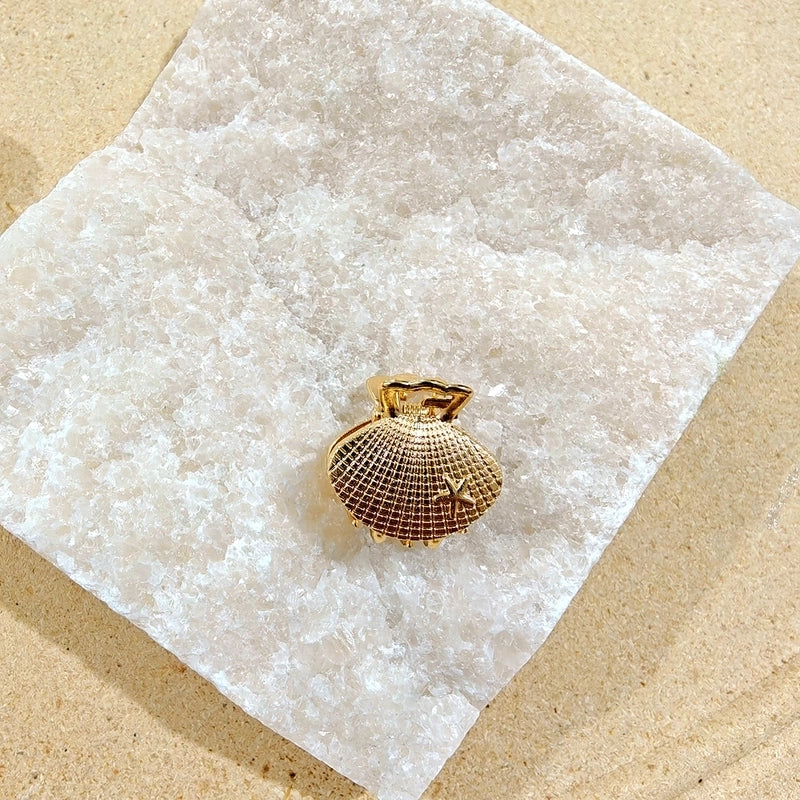 Women’s Minimalist Classic Style Solid Color Alloy Plating Hair Claws