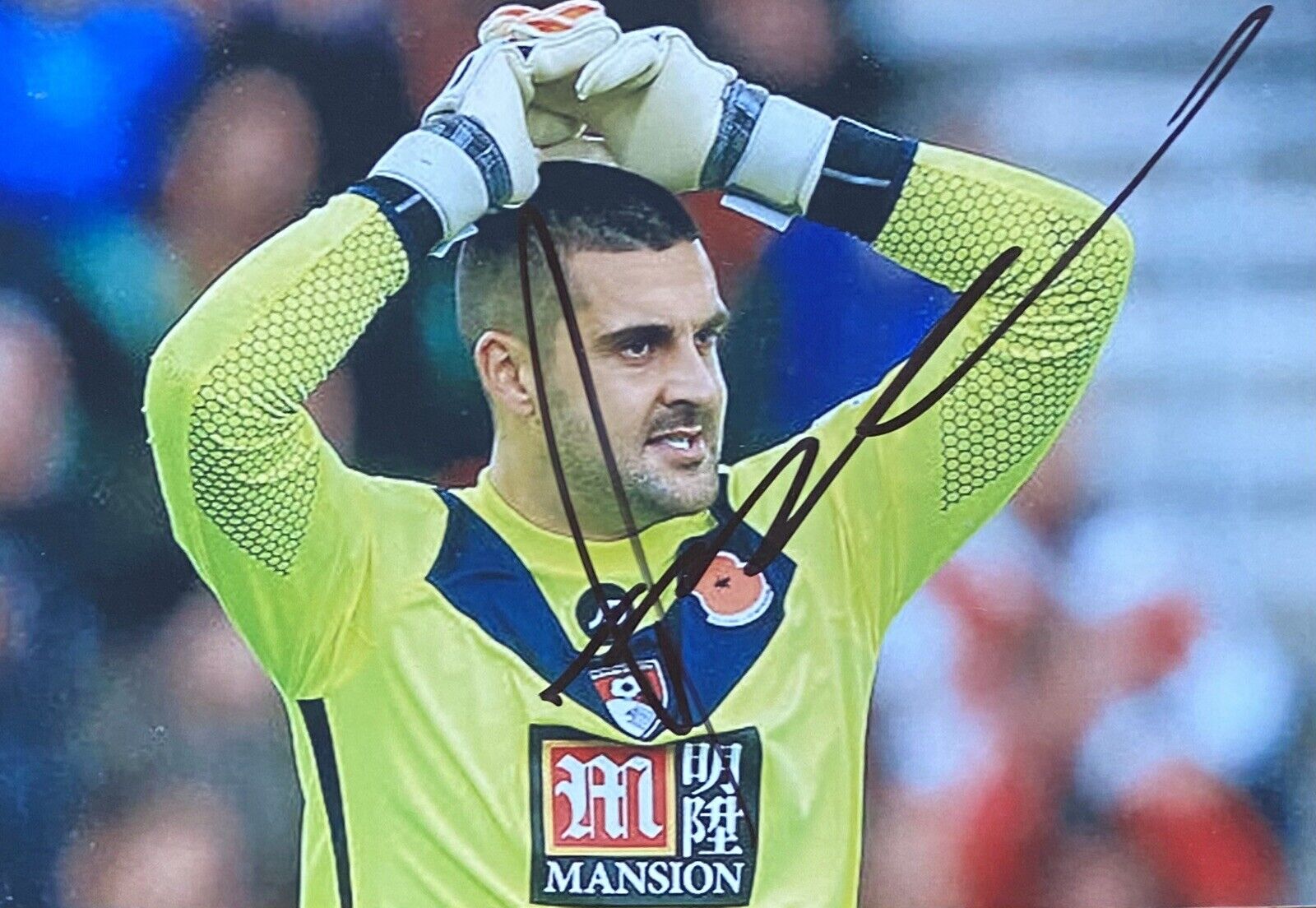 Adam Federici Genuine Hand Signed Bournemouth AFC 6X4 Photo Poster painting