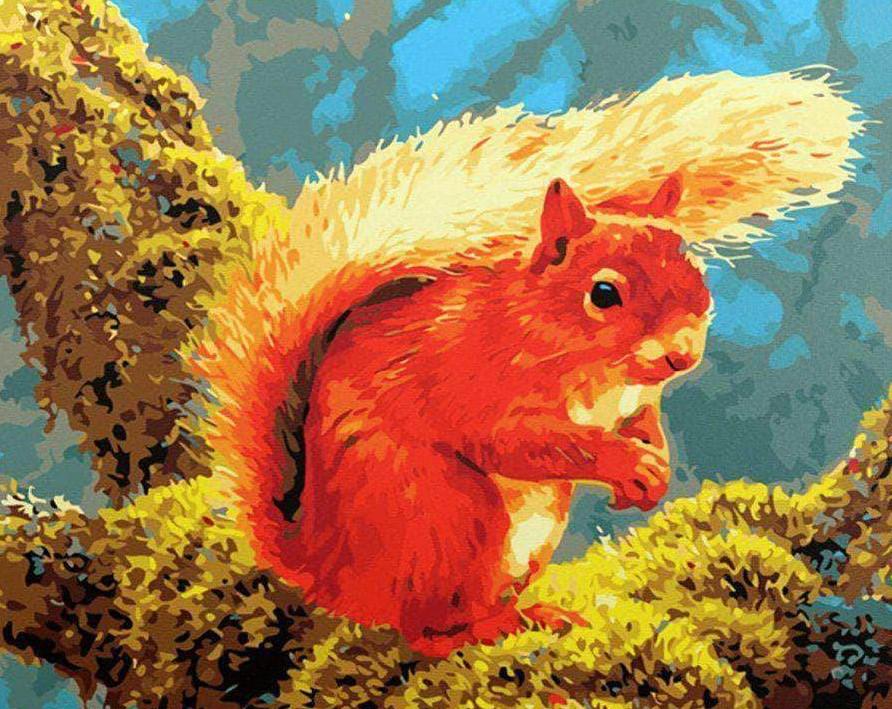 

Squirrel – Paint By Numbers - 40*50CM, 501 Original