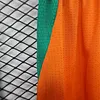 2026 Player Version C&ocirc;te d'Ivoire Orange Shorts 1:1 Thai Quality