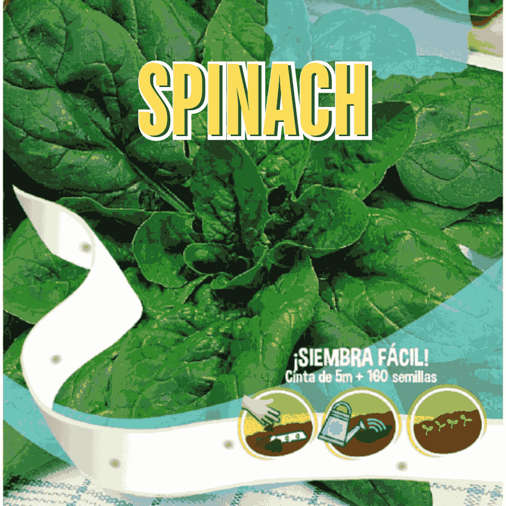 Spinach Seeds Tape